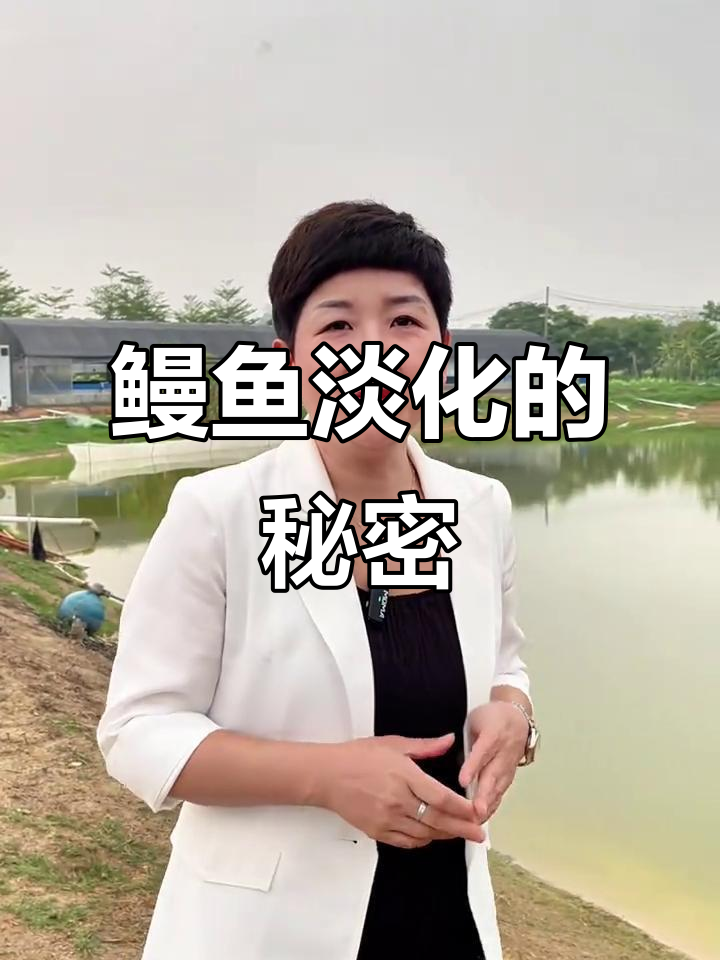 鳗鱼苗先放半咸水,逐渐淡化适应淡水环境