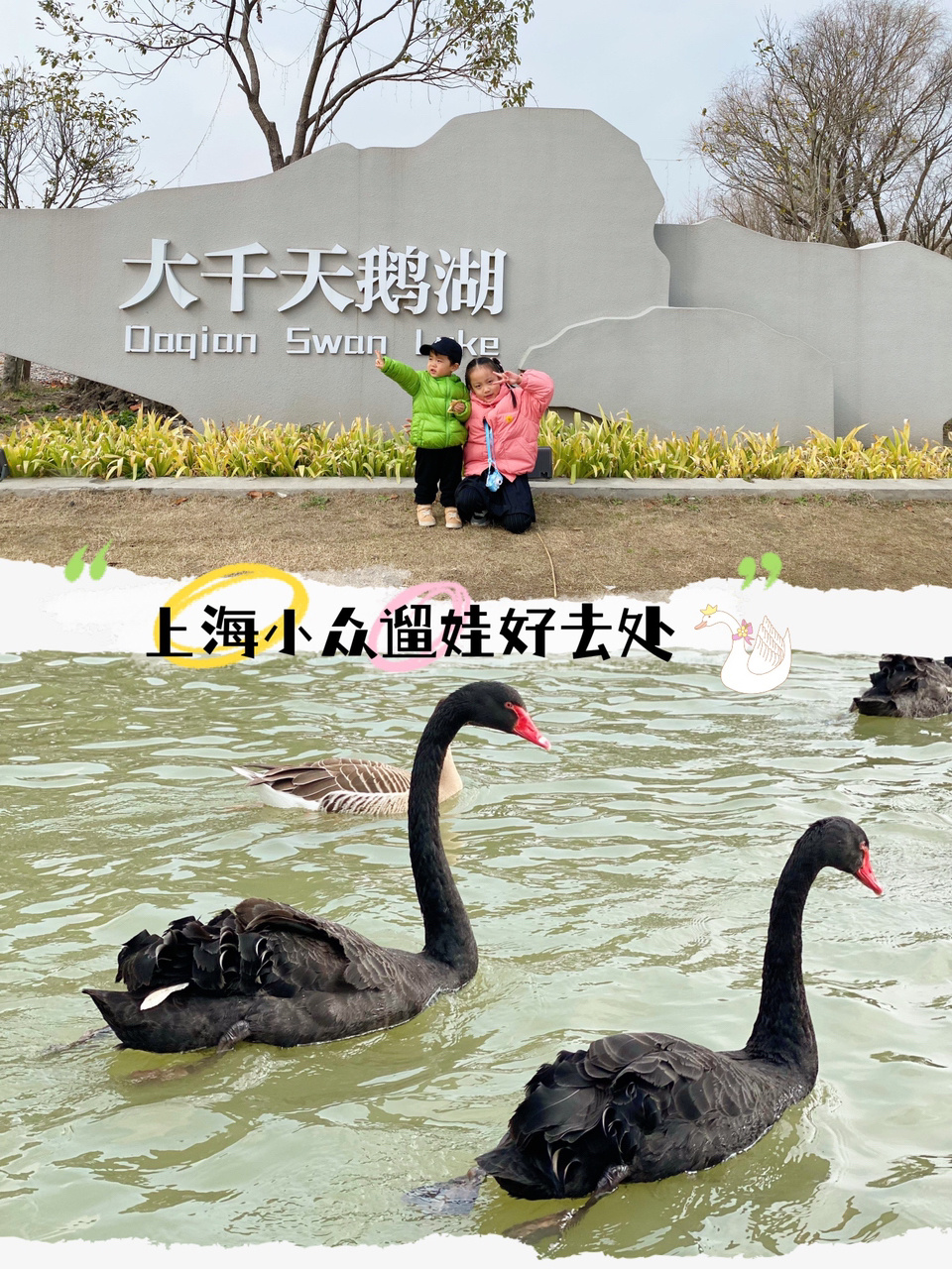 上海小众遛娃好去处|大千天鹅湖庄园