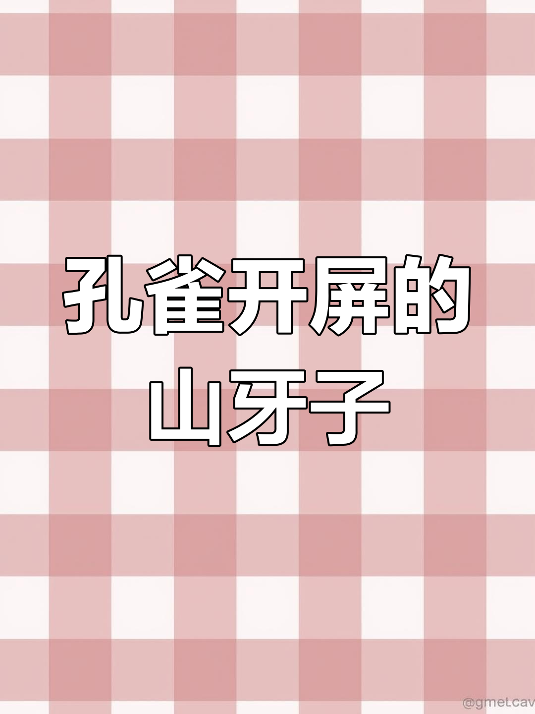 严峫江停的孔雀开屏瞬间,竟然被这样“抓”到!