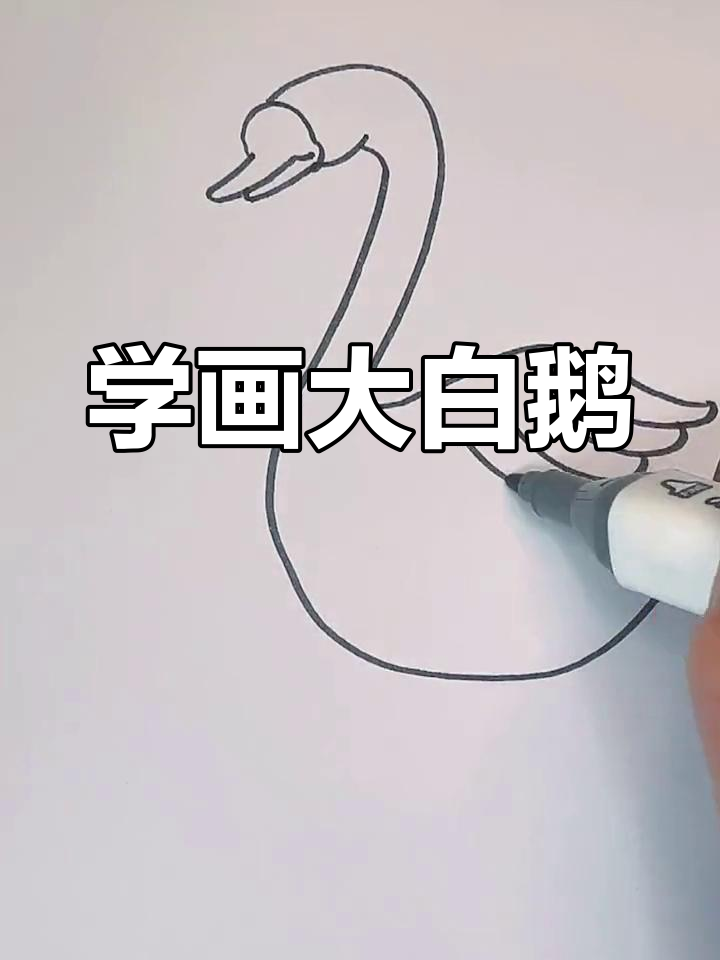 画一只可爱的大白鹅