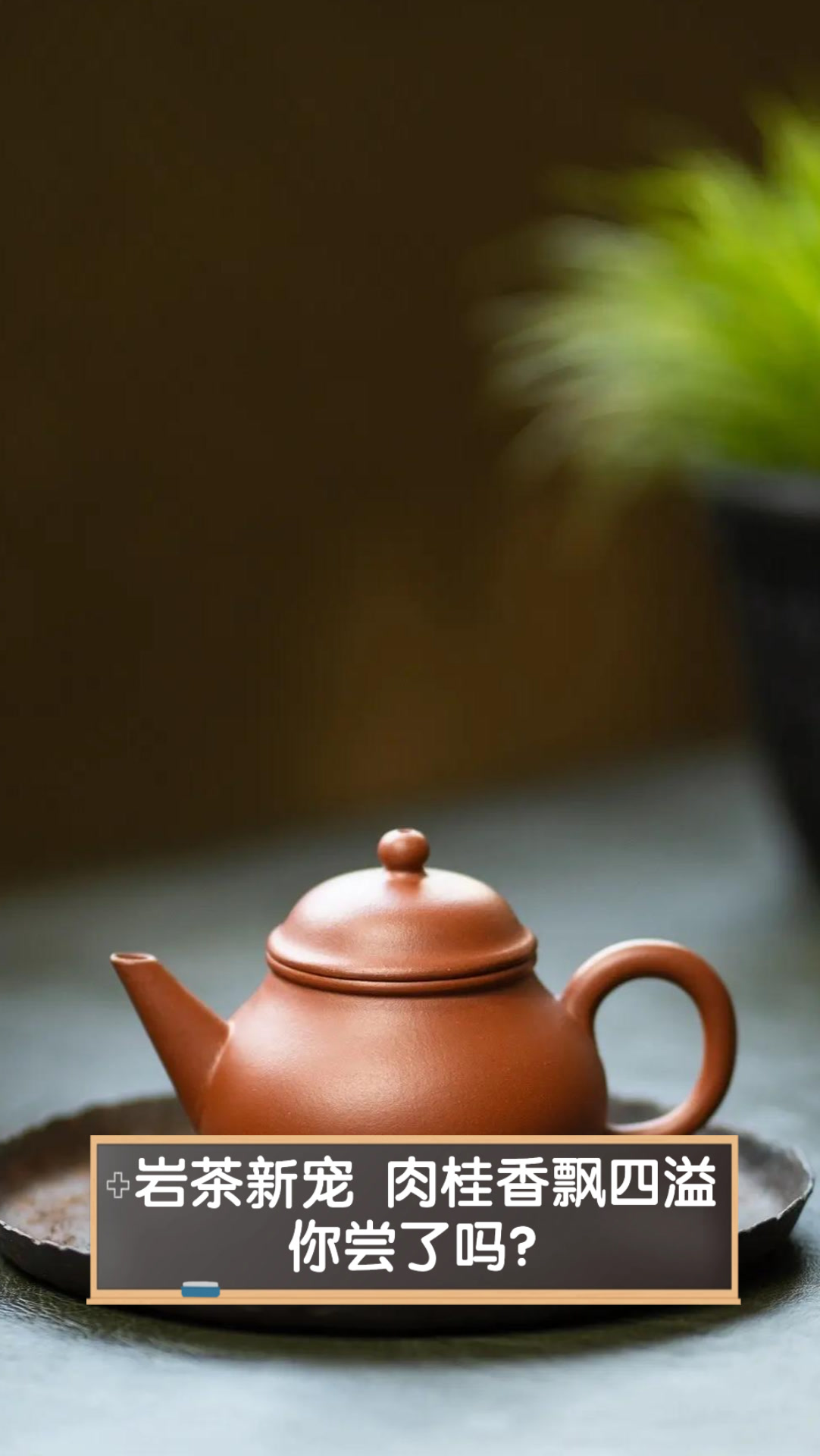 岩茶新宠,肉桂香飘四溢,你尝了吗?