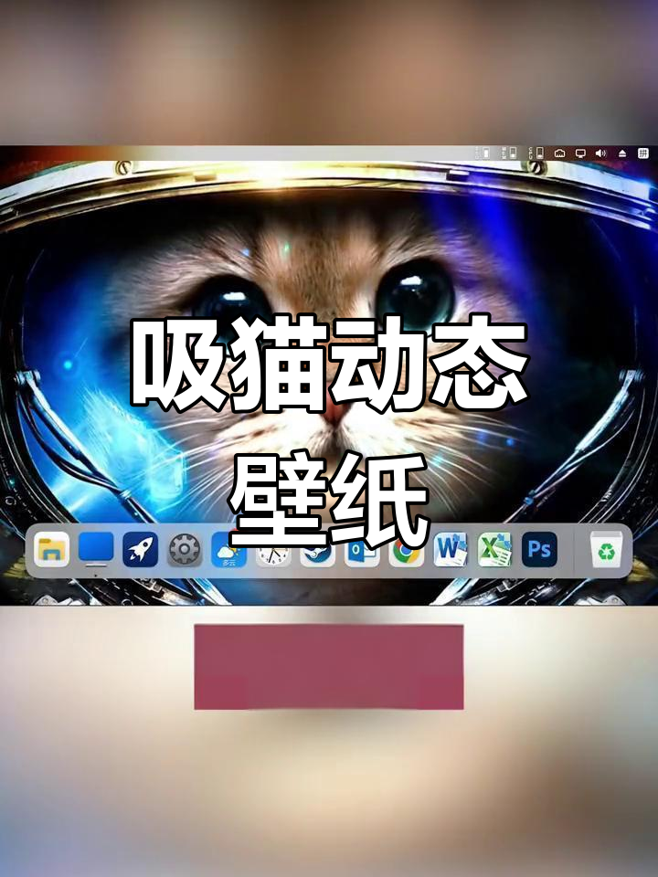 蒸汽平台动态壁纸推荐,猫咪萌化桌面