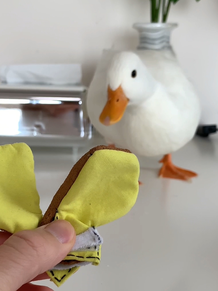 你们知道鸭子穿的鞋是怎么做的吗