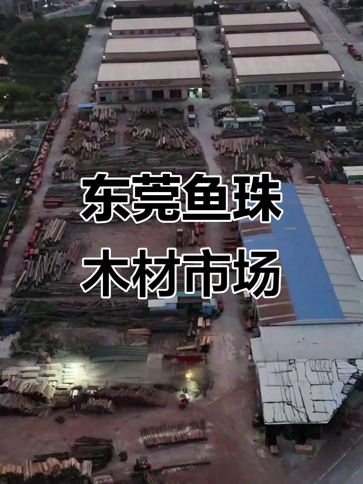 东莞鱼珠木材市场：全球木材交易中心，水路交通优势明显