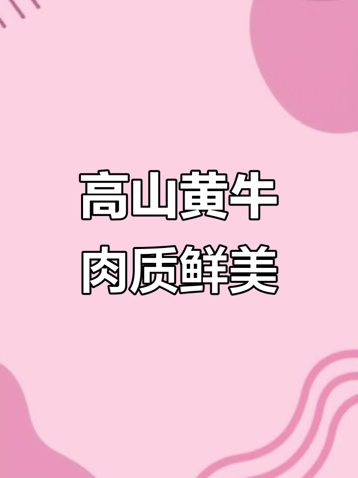高山散养黄牛肉,鲜美无比,元月一号杀两车庆祝