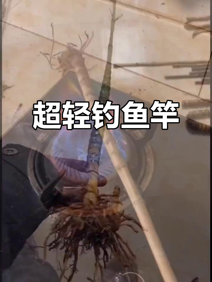 轻巧超细钓鱼竿,28调长节仿竹设计,垂钓必备