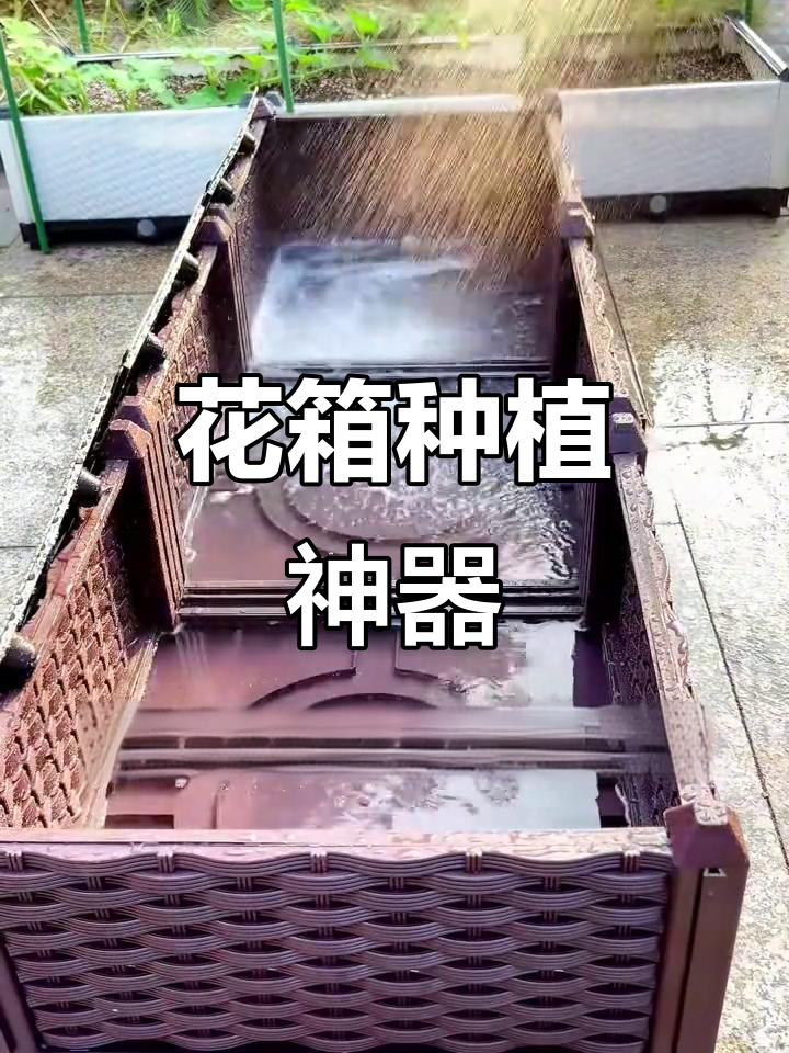 阳台种菜,轻松安装花箱,底盘储水排水设计超实用