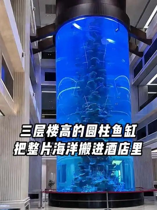 三层楼高的圆柱鱼缸,震撼的酒店13米大型圆柱鱼缸 #圆柱鱼缸定制 #圆柱水族馆 #美人鱼表
