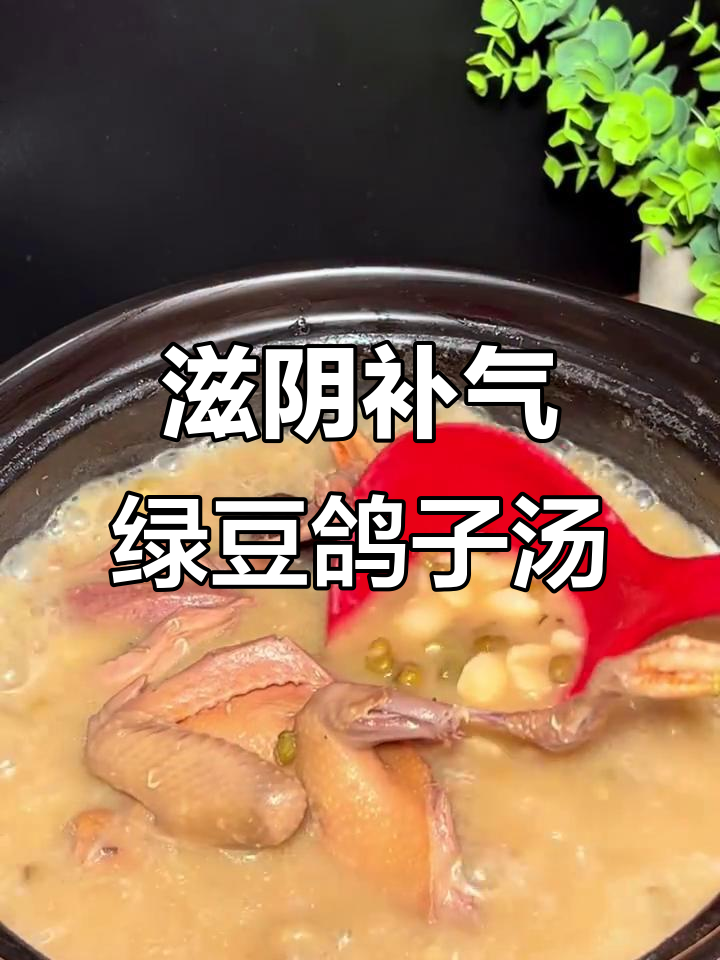 绿豆乳鸽汤,滋补清热消暑解毒