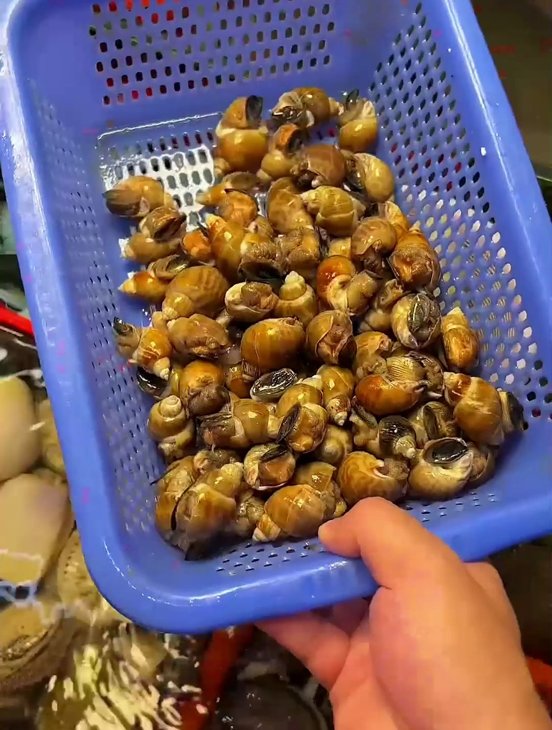 这个捞汁小海鲜赶紧做起来，跟爱的人一起吃！