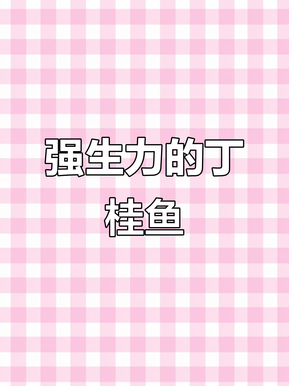 丁桂鱼,强生存力广温鱼类