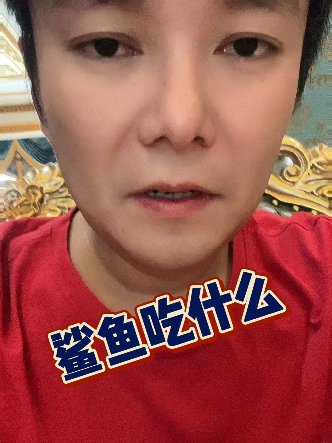 鲨鱼吃什么