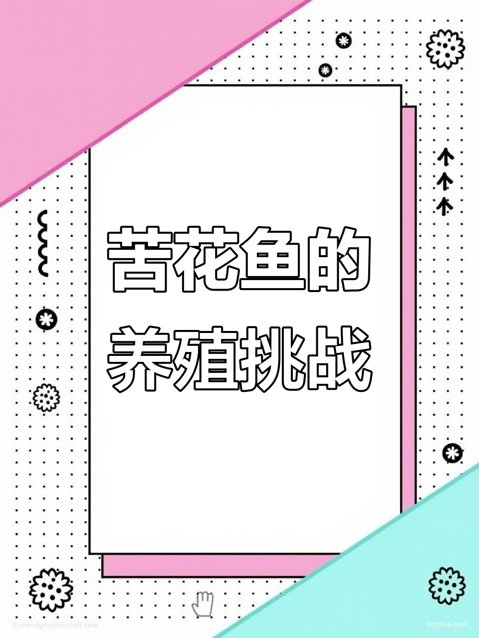 苦花鱼:嘴小身长,水质要求高,繁殖不易