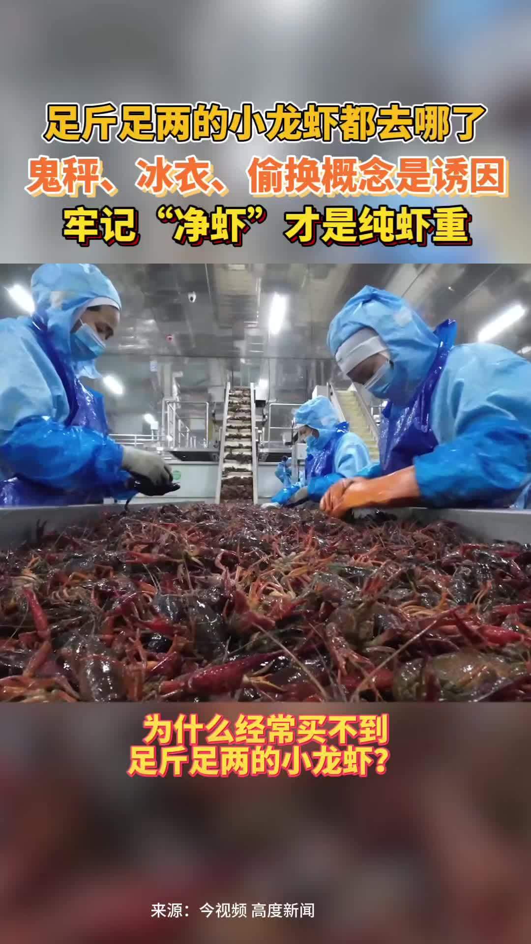 为什么经常买不到足斤足两的小龙虾?足斤足两的小龙虾去哪了