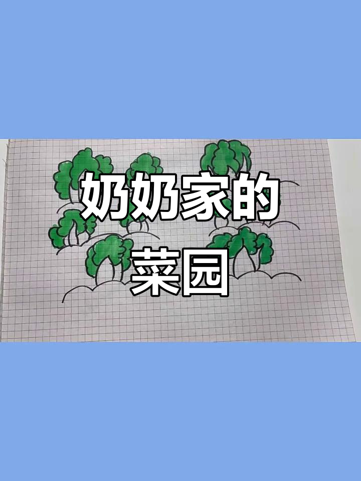 奶奶的菜园子,满眼都是绿色和生机