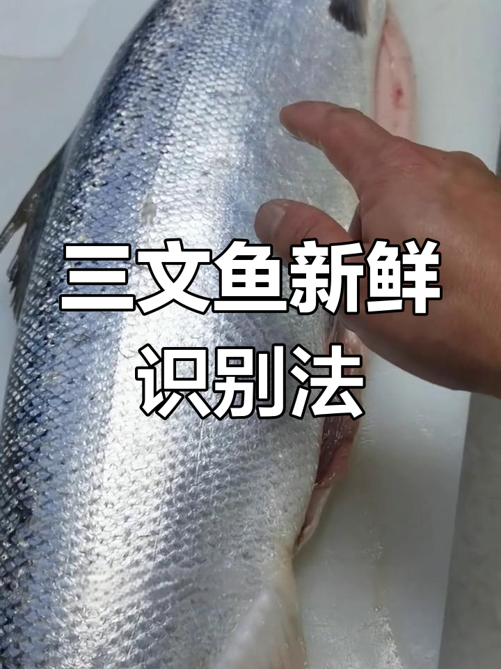 如何判断三文鱼新鲜度?鳞亮、弹性足才是关键