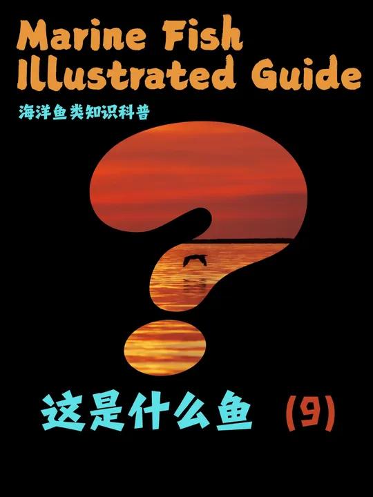 盘点钓鱼佬的梦中情鱼，没几个钓鱼佬能解锁这几种鱼