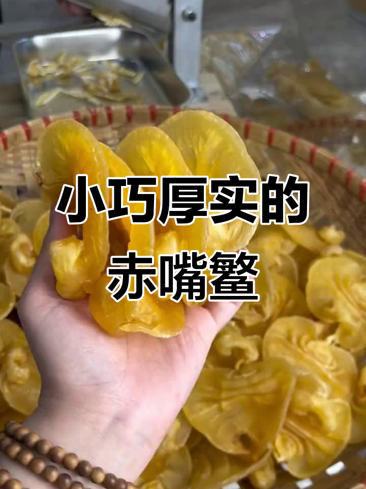 颜家膳品:迷你四头半赤嘴鳘鱼胶,厚度惊人!