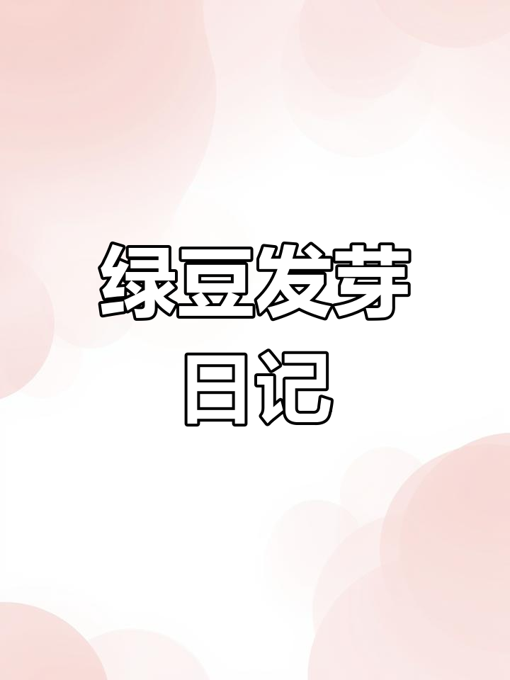 绿豆芽生长全过程记录