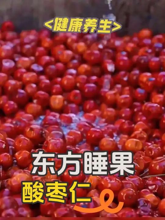 酸枣仁, 有着“东方睡果”的美誉。早在《神农本草经》中就有记载它的作用,《金匮要略》也提到