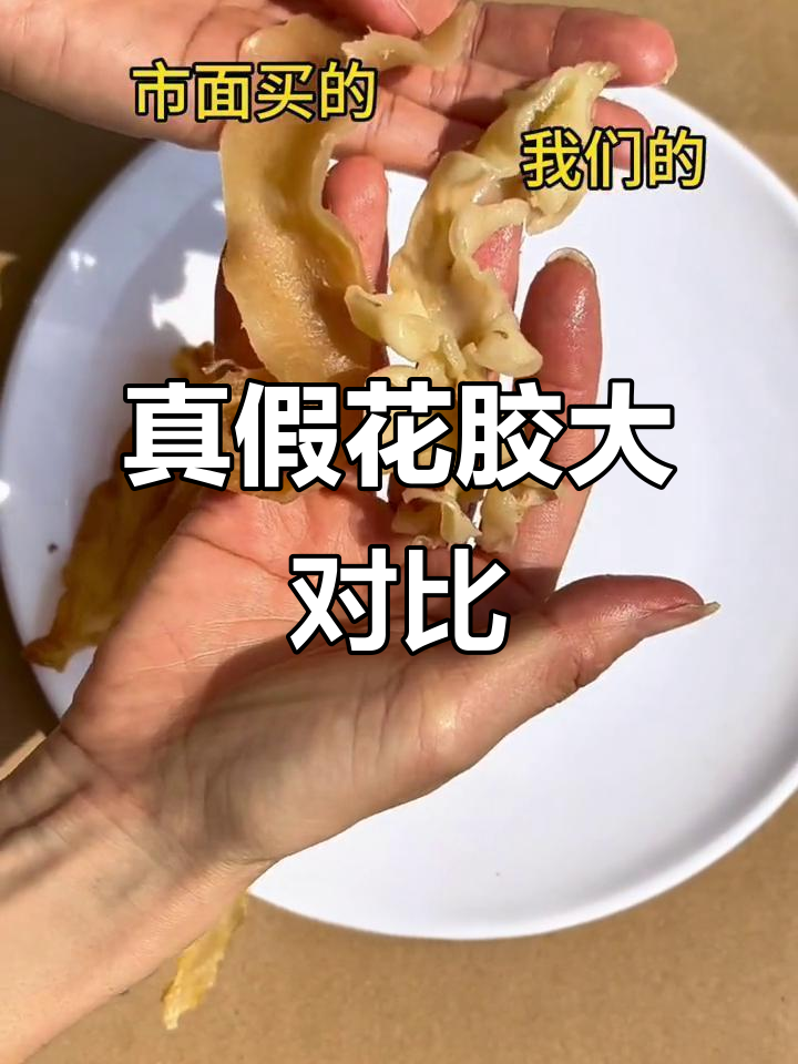 花胶真假难辨,如何挑选避免踩雷?