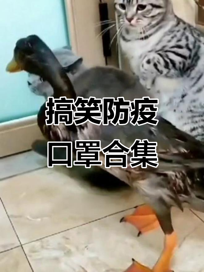 疫情期间口罩戴法大揭秘,隐形口罩也能有!