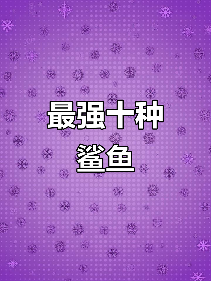 十大最凶猛鲨鱼,看看你能承受哪种挑战