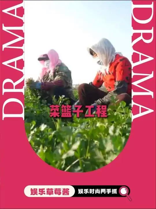 菜篮子工程到底有多伟大