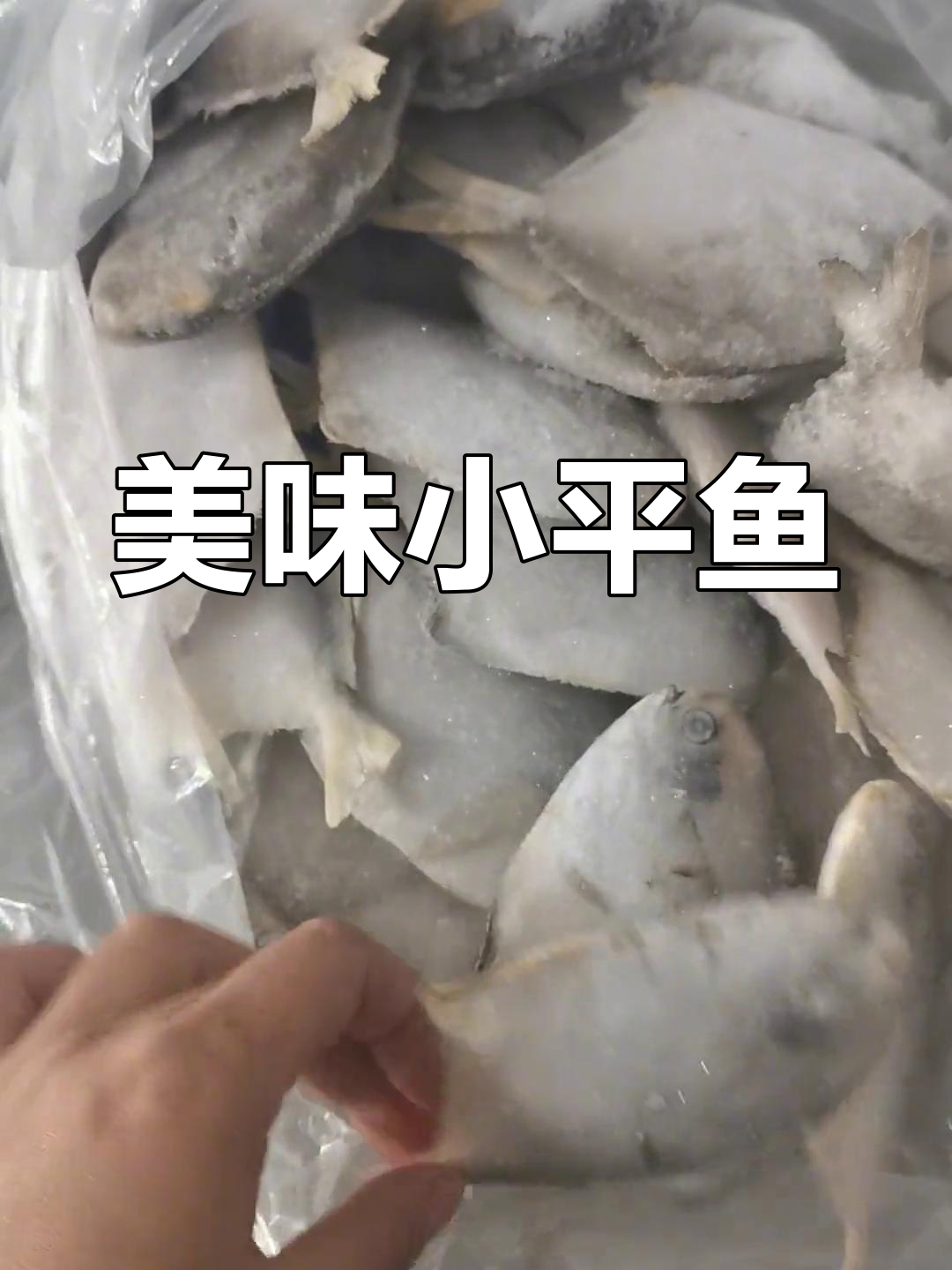 小平鱼鲜美,清蒸红烧皆宜,肉质嫩滑无刺