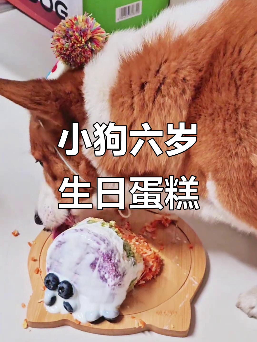 自制狗狗生日蛋糕,简单又美味!