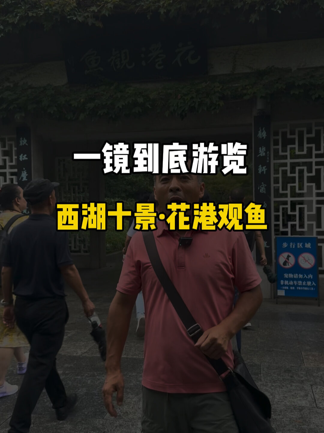 游览西湖千万别错过——花港观鱼