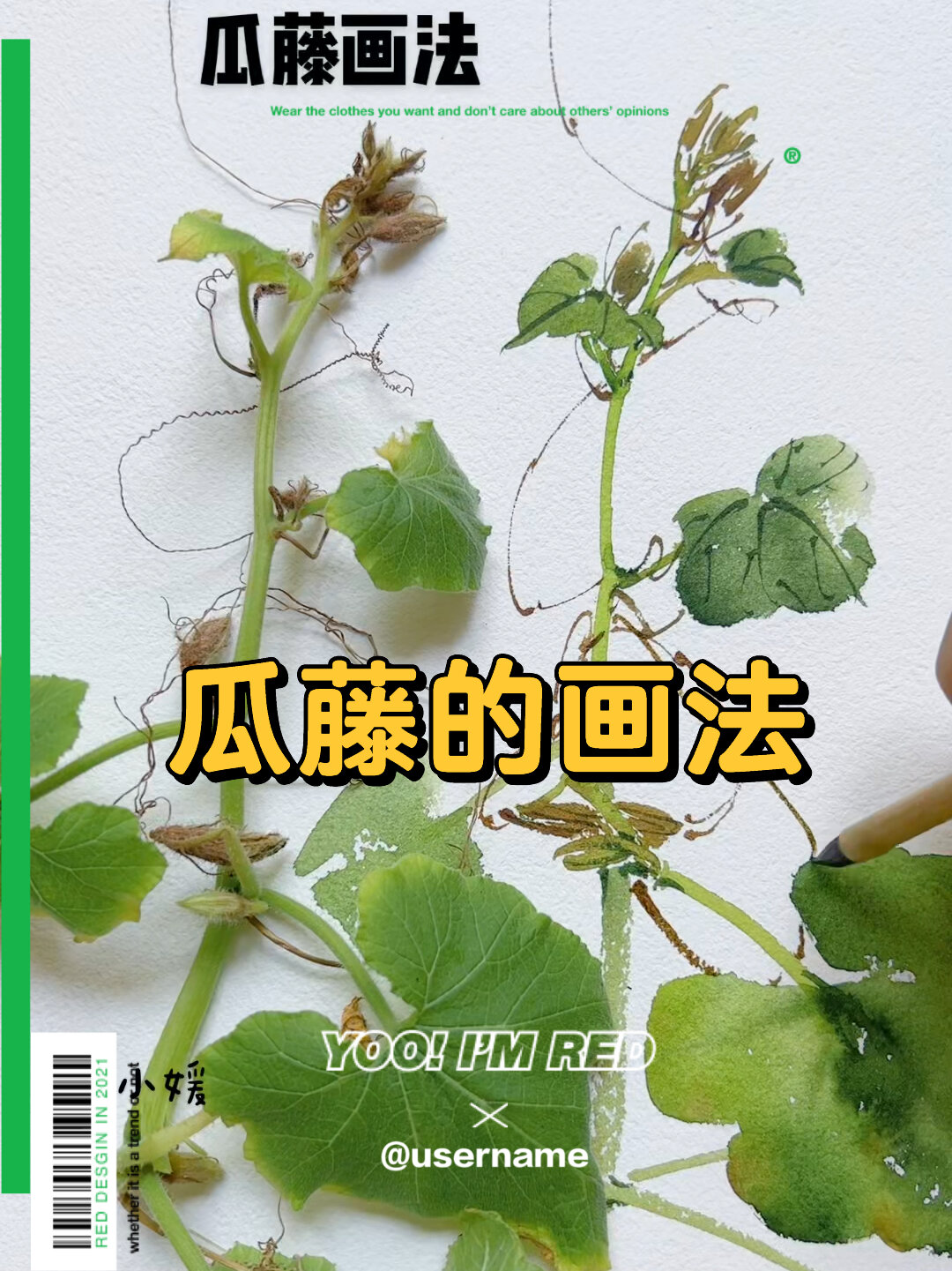 蔬菜瓜藤也很好看,简单画出来啦……