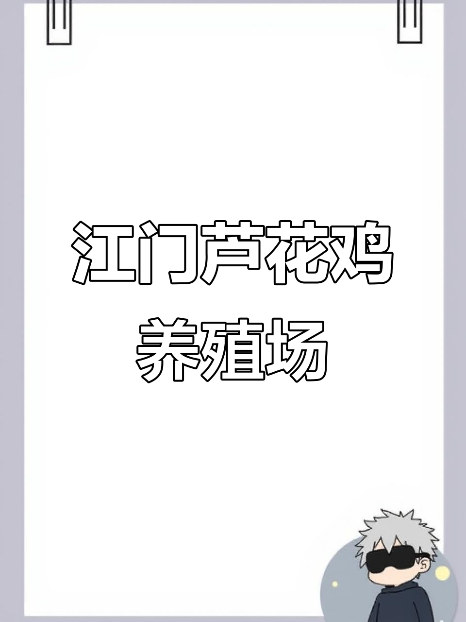 江门市芦花鸡养殖基地,疫苗与病原协同作用解析