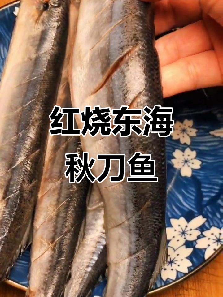 舟山东海秋刀鱼红烧做法,简单又美味