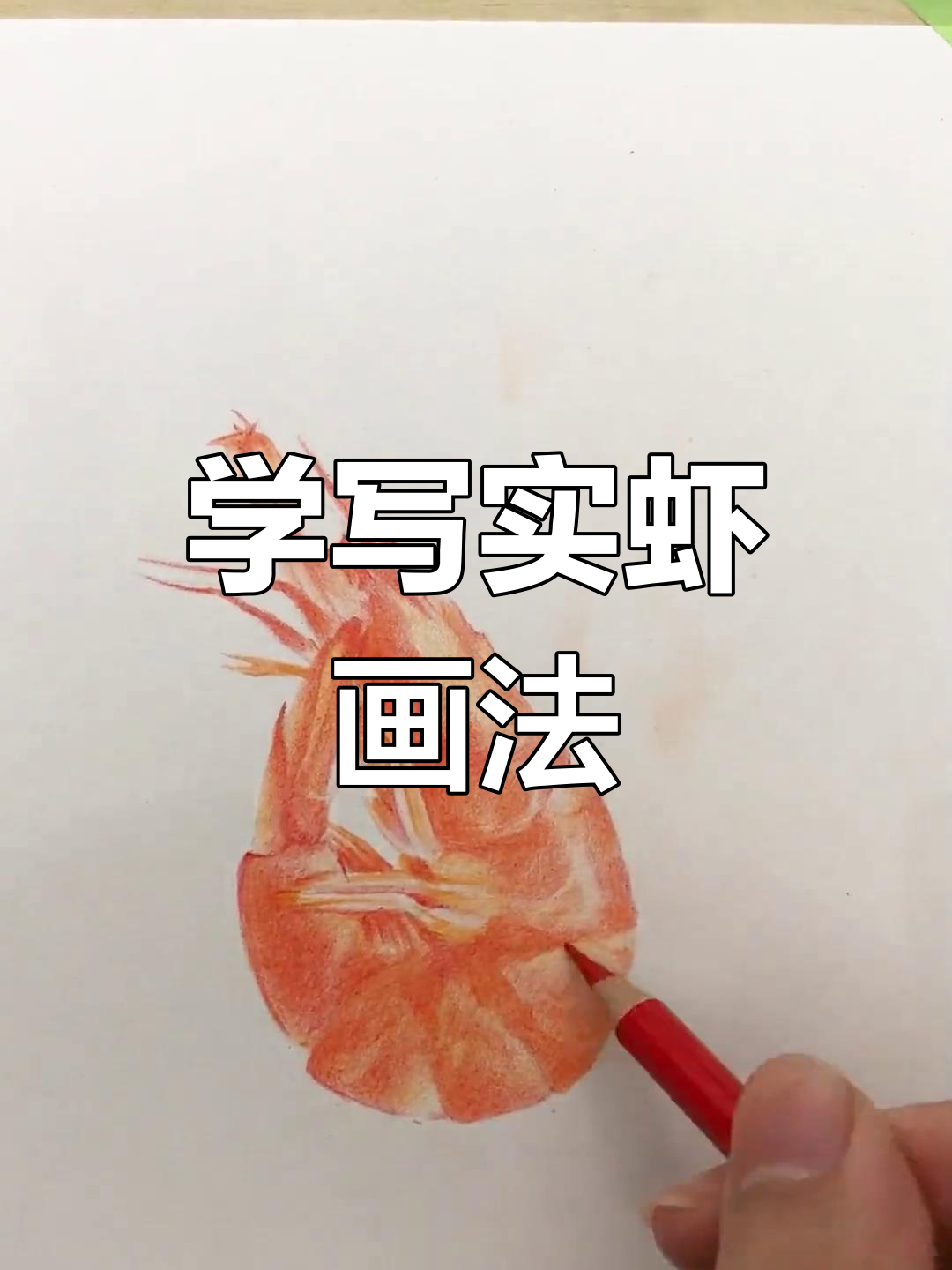 画虾超写实,步骤全解析!