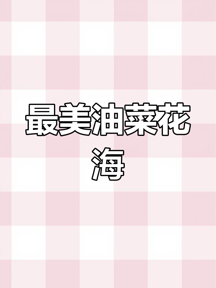 江苏兴化千垛油菜花海,春日最美的邂逅