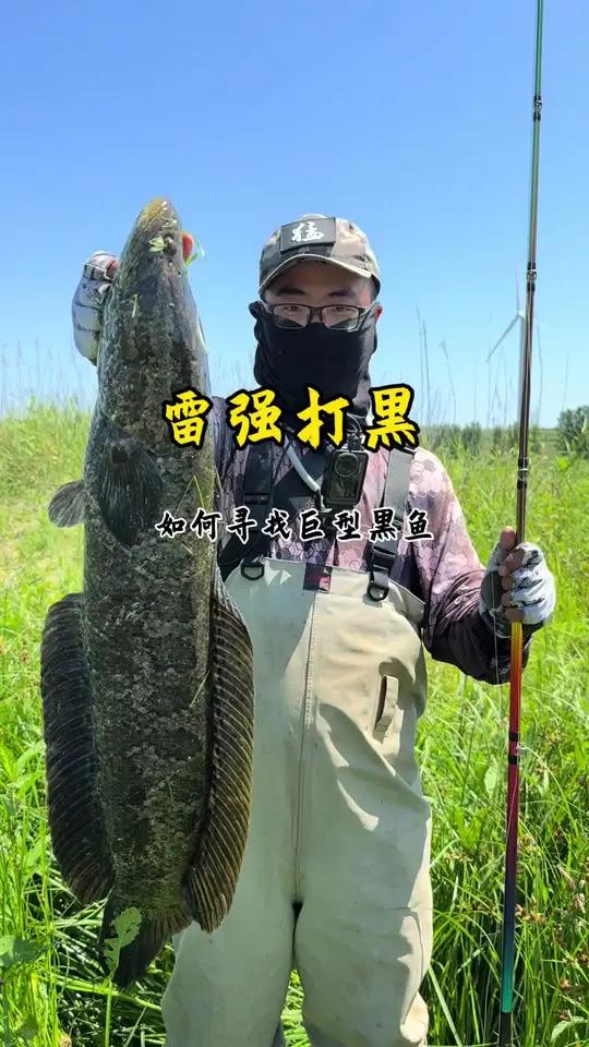 玩雷强，如何解锁10加巨型黑鱼 巨型黑鱼藏身标点，毫无保留告诉你，雷强新手必看找巨型黑鱼教