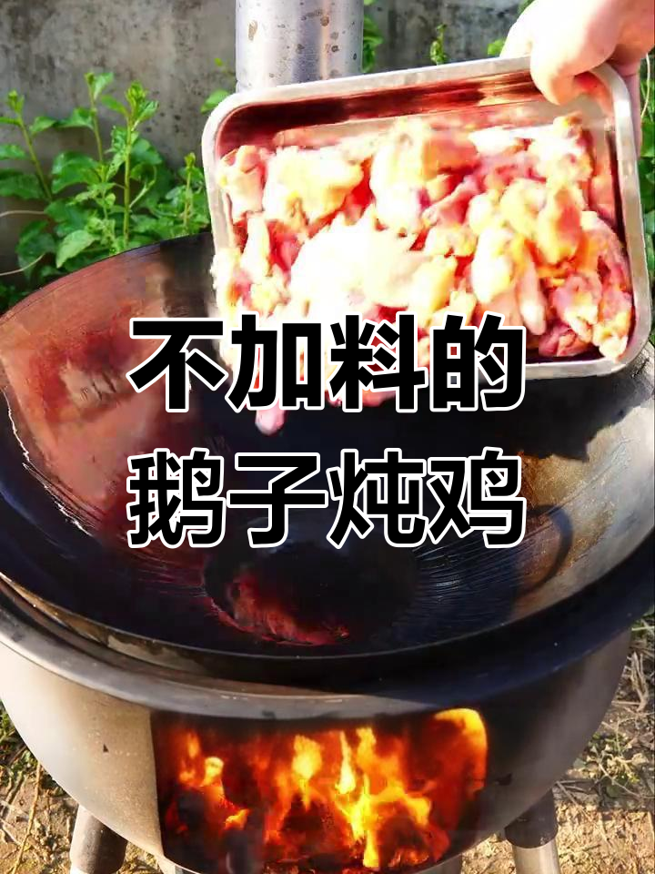 农村柴火炖鸡,不加料也能美味