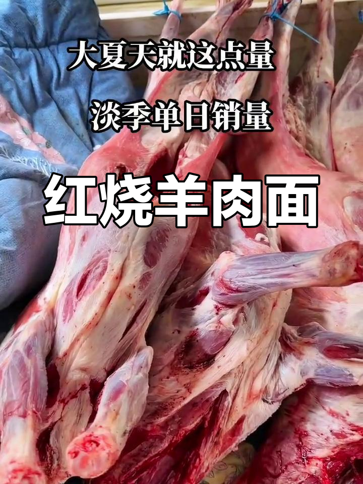 桐乡特色红烧羊肉面