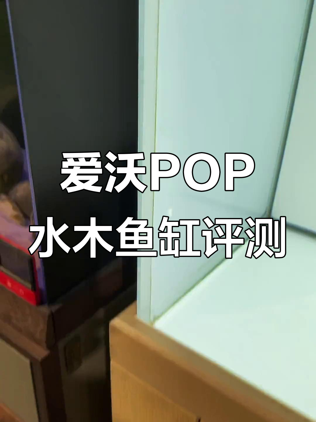 九鼎爱沃POP水木鱼缸：简约奢华，智能过滤系统全解析