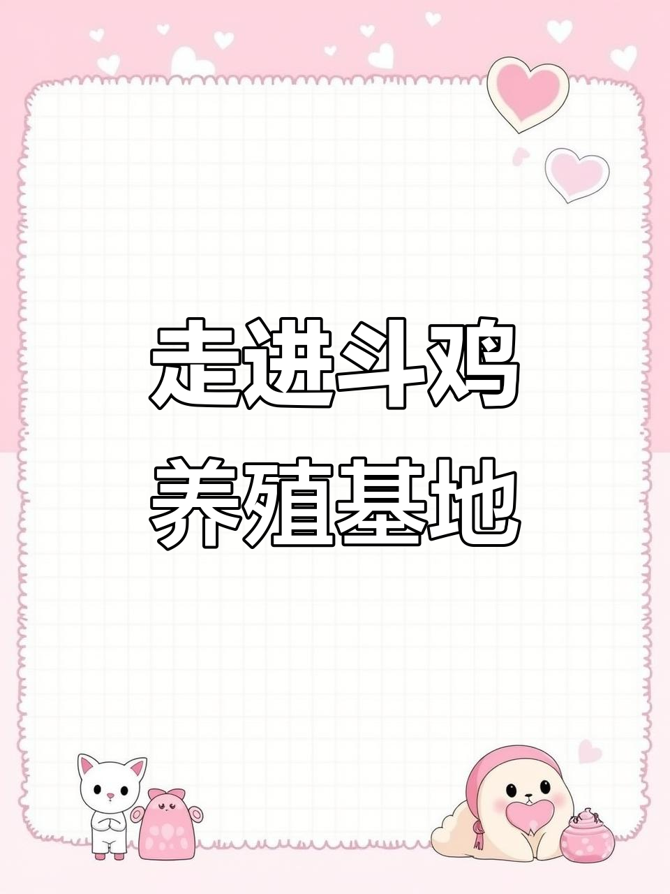 斗鸡养殖场探秘,带你了解这个行业的魅力