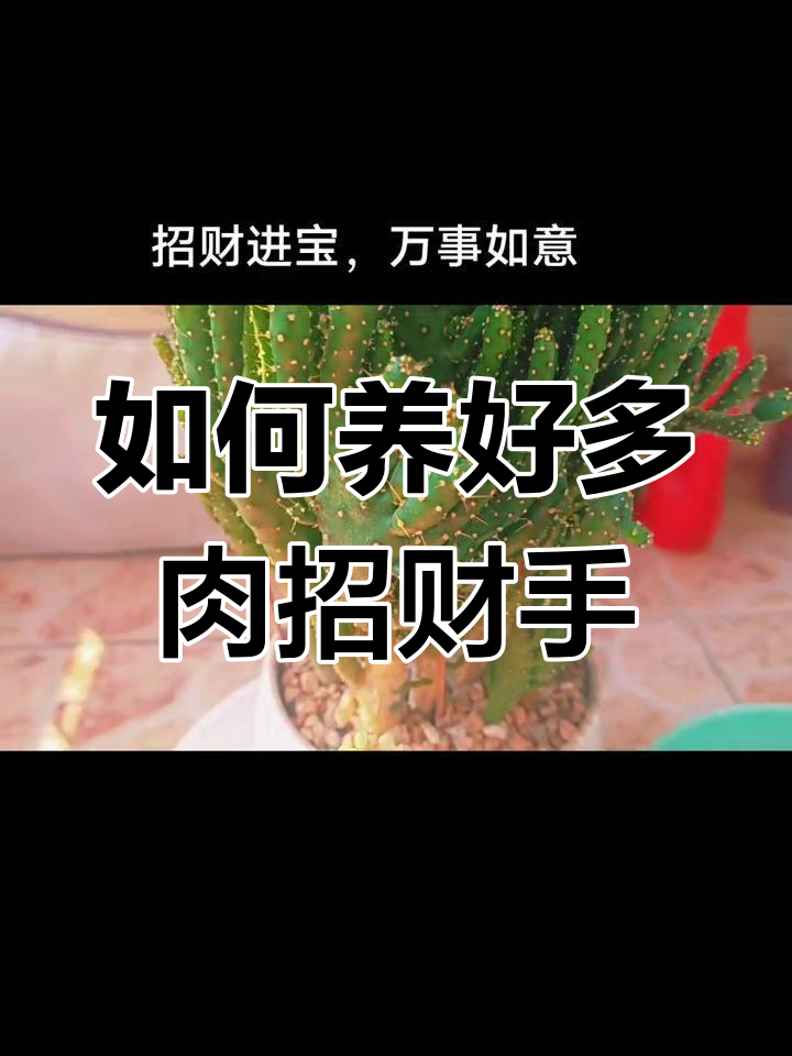 招财手养护与扦插技巧,轻松打造多肉大手