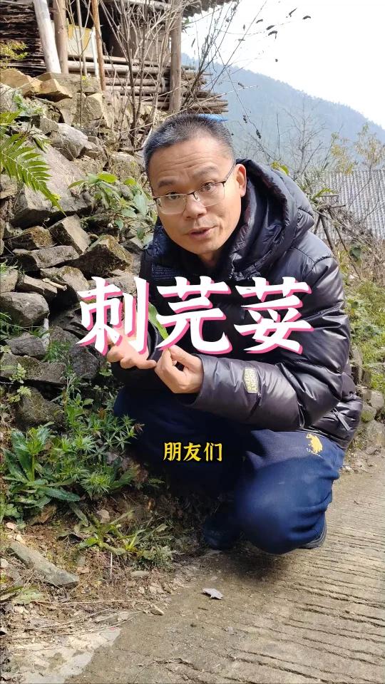 这是一种野生的调味料