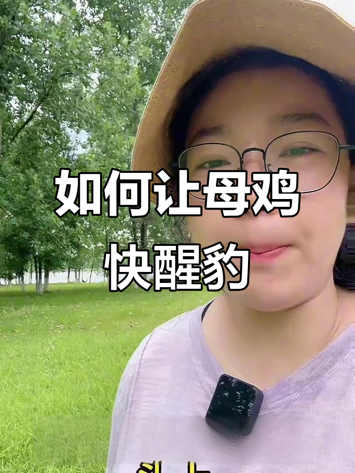 母鸡抱窝怎么办?这几个小妙招让它快速醒豹