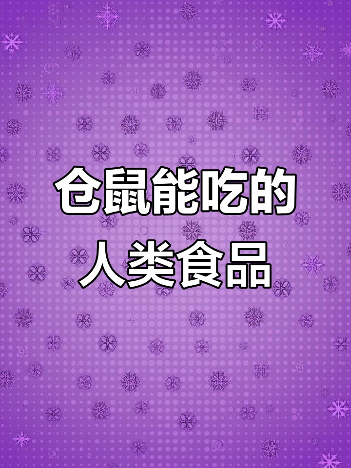 仓鼠也能放心吃的人类食物,看看这些你喂过吗?