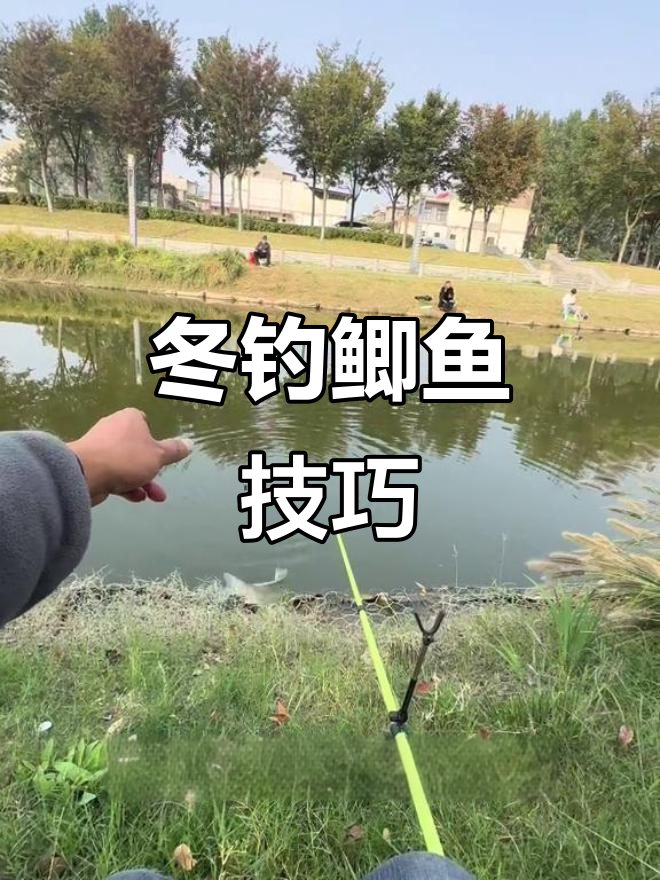 冬季钓鲫鱼,选钩有诀窍,大小不同用不同的型号