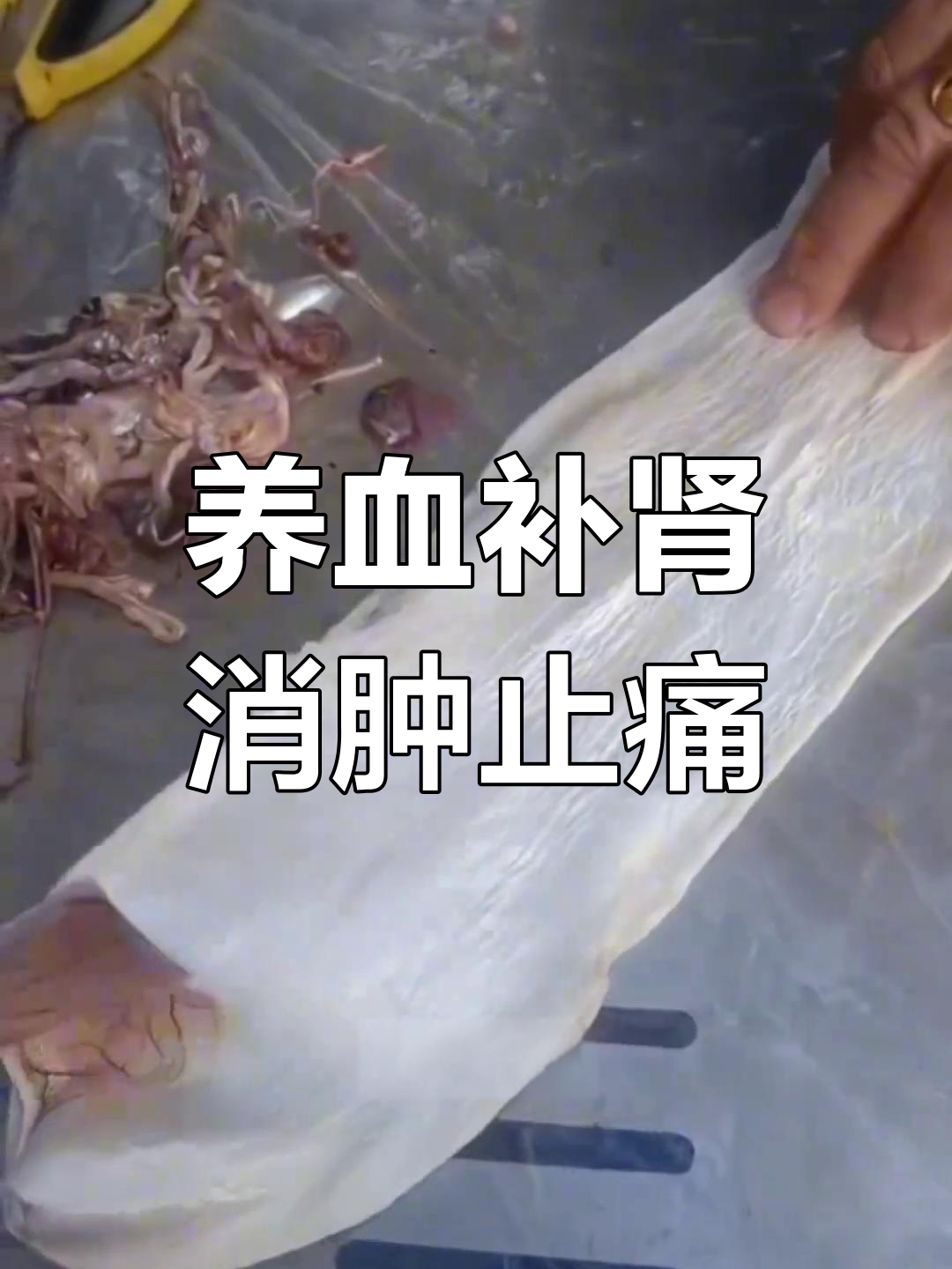 鱼鳔的营养与药用功效