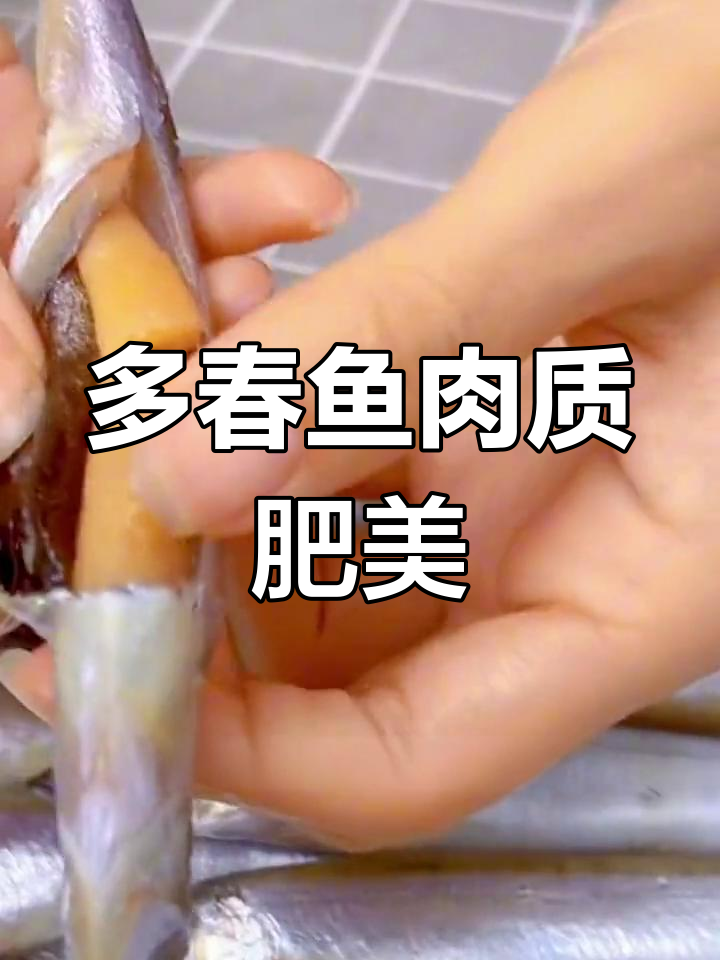 冰岛海捕多春鱼,肉质鲜美,营养丰富
