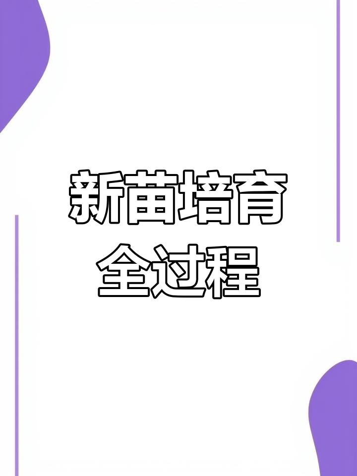 杏树幼苗成长日记:育苗大棚探秘