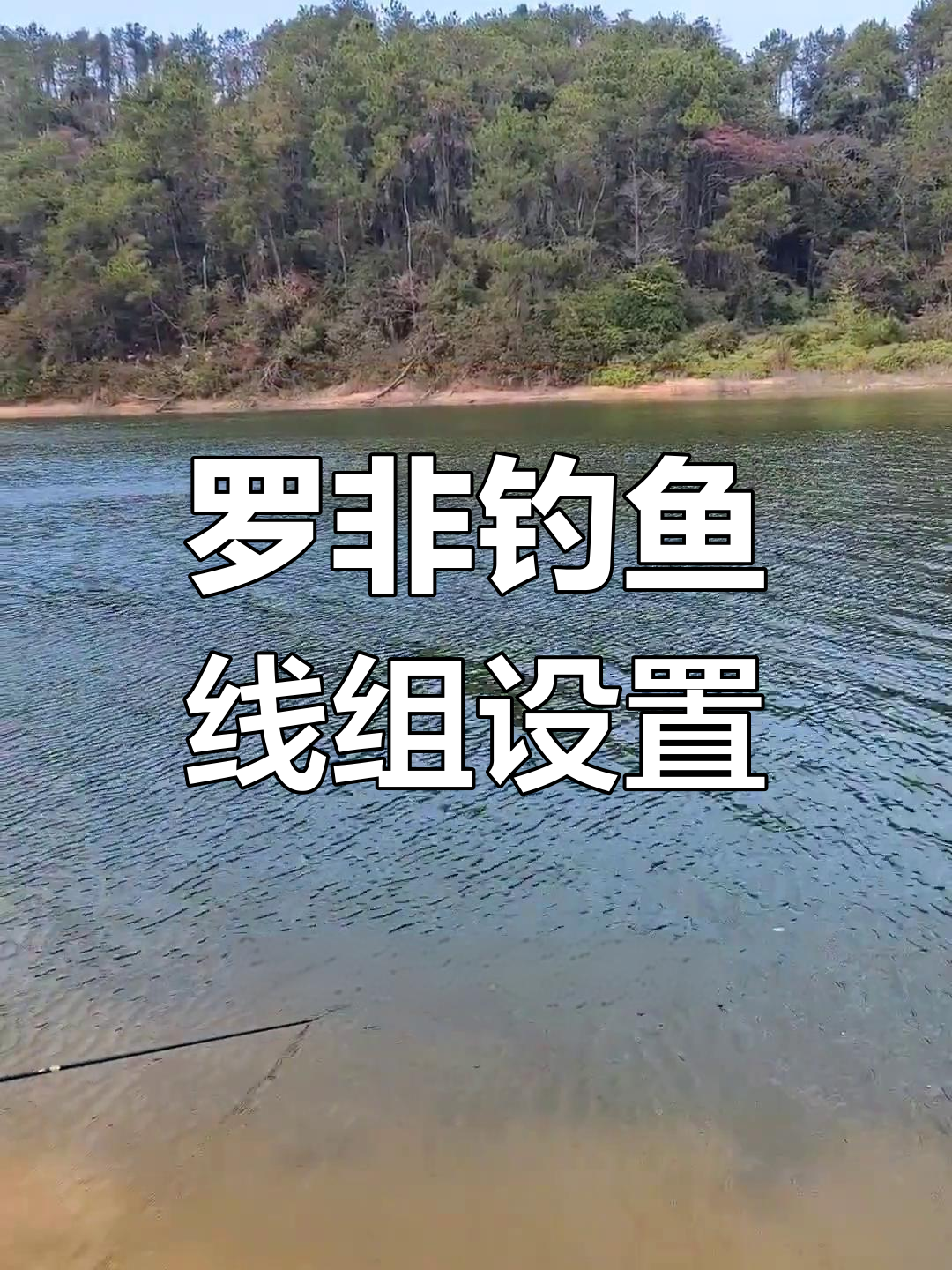 罗非鱼钓组搭配与调漂技巧